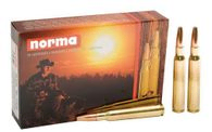 munitions grande chasse