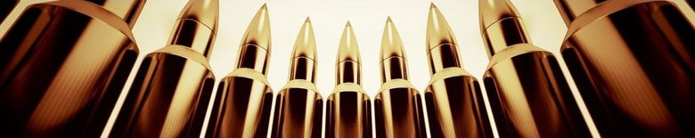 Munitions grande chasse