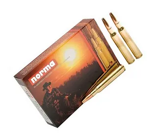 Munitions grande chasse armes rayées